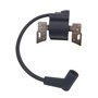Cancanle Bobine d'allumage pour Briggs Stratton 798534 593872 799582