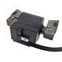 Cancanle Bobine d'allumage pour Briggs Stratton 798534 593872 799582