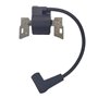 Cancanle Bobine d'allumage pour Briggs Stratton 798534 593872 799582