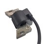 Cancanle Bobine d'allumage pour Briggs Stratton 798534 593872 799582
