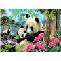 Educa - Puzzle de 1000 pièces pour Adultes | Pandas. À partir de 14 Ans (17995)