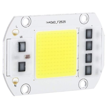 100W 220V LED Puce
