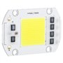 100W 220V LED Puce