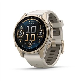 Montre intelligente GARMIN 010-02903-11 Or Gris 1
