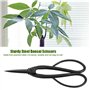 Sécateur Jardinage Ciseaux Bonsaï Outil de Jardin