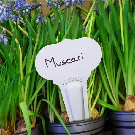 25 Étiquettes pour Plantes en Aluminium à planter - Forme Ogée 10x6cm