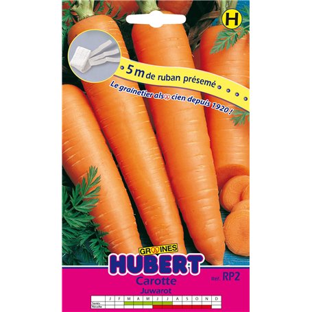 Ruban Présemé Graines de Carotte Juwarot