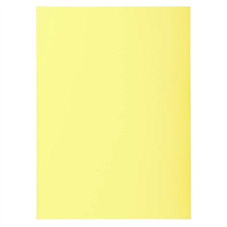Exacompta - Réf. 850005E - Paquet de 250 sous-chemises SUPER 60 g/m2 aux couleurs pastel - sous chemises certifiées PEFC™ - dime