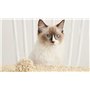 Litière végétale pour chat EZIclean Premium Cat Litter