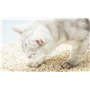 Litière végétale pour chat EZIclean Premium Cat Litter