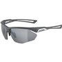 Lunettes de soleil Homme Alpina A8635332