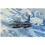 Revell-F-16D Tigermeet 2014, 1:72, 21,3 cm Maquette Avion, 03844, Multicolore