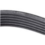 Continental Contitech 6PK1244 Courroie trapézoïdale à nervures