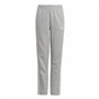 Pantalon de sport long Adidas Essentials Gris