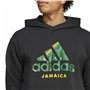 Sweat à capuche homme Adidas Jamaica Seasonal Doubleknit Noir