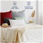 Blumtal Taie Oreiller 50 x 70 Lot de 2 - Housse de Coussin Microfibre - Taies d'oreillers avec Fermeture enveloppe, certifiée Oe