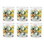 Excelsa Fiori Frida Set 6 Verres