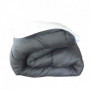 ABEIL Couette Bicolore - 240 x 260 cm - Blanc et gris 95,99 €