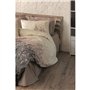 Parure de lit - 1 housse de couette 220 x 240 cm + 2 taies d'oreiller 60 x 60 cm - 100% coton ranforcé - Beige