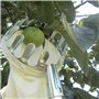Outil de Cueillette de Fruits,Cueilleurs de Fruits Outils de Cueillette de Jardinage Métal Cueille-Fruits avec Sac de Collecte p