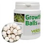 Velda 122250 Lot de 50 Boules d'engrais pour Plantes d'eau Growth Balls