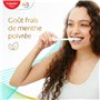 COLGATE - Total Active Prevention Soin Émail Dentifrice 24h - Protège l'émail et prévient les problèmes bucco-dentaires - 3x75ml