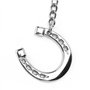 Pssopp Porte-clés en Fer à Cheval Porte-clés en Fer à Cheval Hautement Poli Cadeaux de Faveur Mors de Filet de Cheval en Argent 