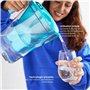 BWT VIDA Pétrole filtre eau | carafe filtrante | 1 cartouche au magnésium | fontaine a eau | potable, pour aliments et boissons 