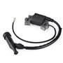Bobine Allumage Lc1p65fa