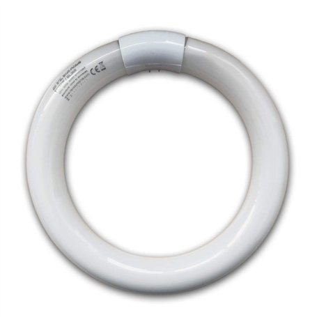 Lampe actinique fluorescente circulaire de rechange G10q 32 W pour 361B