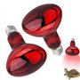 Udbrud Reptile Ampoules Chauffantes