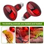 Udbrud Reptile Ampoules Chauffantes, 2 Pièces 100W Lampe Chauffante E27 Infrarouge Dimmable Durable Chaleur Lumière pour Dragon 