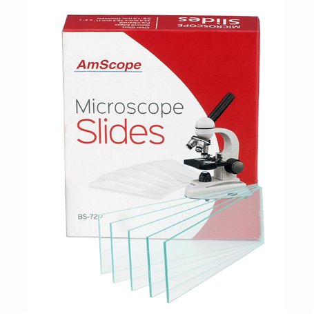 AmScope BS-72P 72 lames de microscope vierges pré-nettoyées avec bords au sol