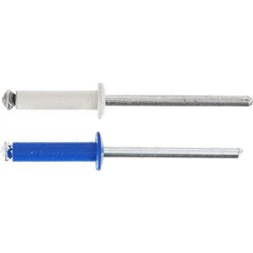 Restagraf - Rivets Épanouis Bleus