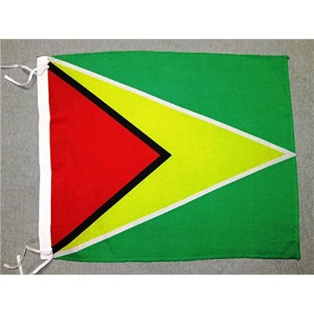 AZ FLAG - Drapeau Guyana - 45x30 cm - Pavillon Guyanien Polyester Léger Avec Deux Cordelettes - 20g