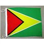 AZ FLAG - Drapeau Guyana - 45x30 cm - Pavillon Guyanien Polyester Léger Avec Deux Cordelettes - 20g