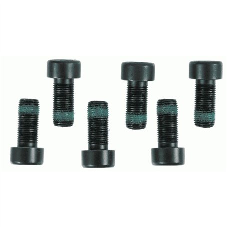 Sachs 1874 000 003 Jeu de vis