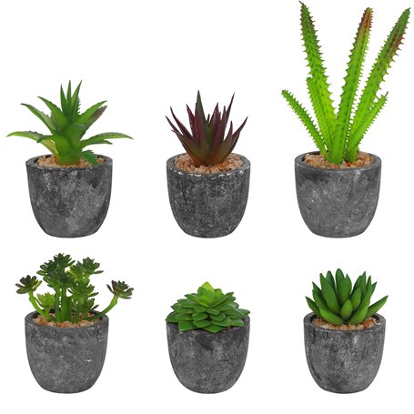 BELLE VOUS Mini Plante Artificielle Interieur Succulente en Pot Gris (6 Pièces) - Fausse Plante Cactus & Succulentes - pour Mais