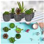 BELLE VOUS Mini Plante Artificielle Interieur Succulente en Pot Gris (6 Pièces) - Fausse Plante Cactus & Succulentes - pour Mais