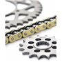 Afam 01213100 Kit chaîne de moto - kit acier pour YAMAHA TW 125 1999 - 2001, or