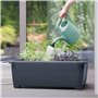 Arrosoir de jardin 4,5L Prosperplast Koni en couleur sève