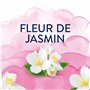 Fleur de Jasmin