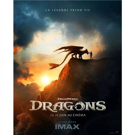 COLIS 40 EX FILM DRAGONS JUIN 2025
