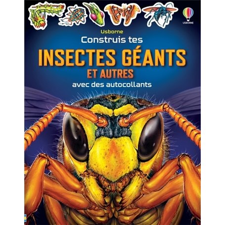 Construis tes Insectes géants et autres avec des autocollants - Dès 5 ans
