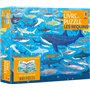 Les requins - Coffrets livre et puzzle - Dès 7 ans