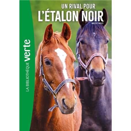L'Etalon noir 14 NED - Un rival pour l'étalon noir
