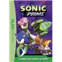Sonic Prime 04 - L'arbre qui cache la forêt
