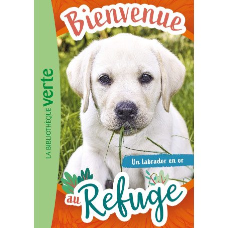 Bienvenue au refuge 08 - Un labrador en or