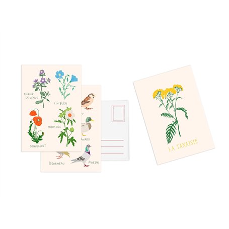 Set de 10 cartes postales Fleurs