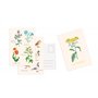 Set de 10 cartes postales Fleurs